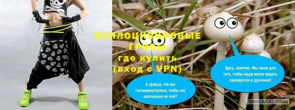 прущая мука Богородицк